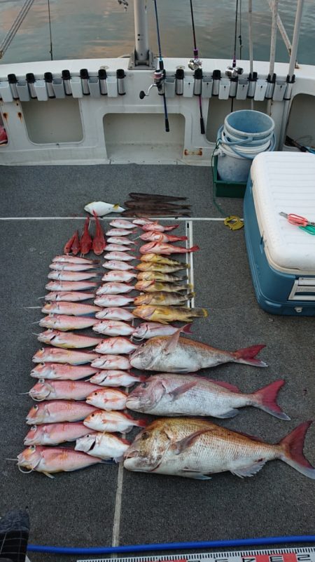 ARCADIAⅡ (アルカディアⅡ) 釣果