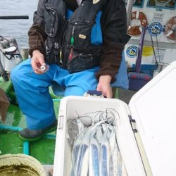 小島丸 釣果
