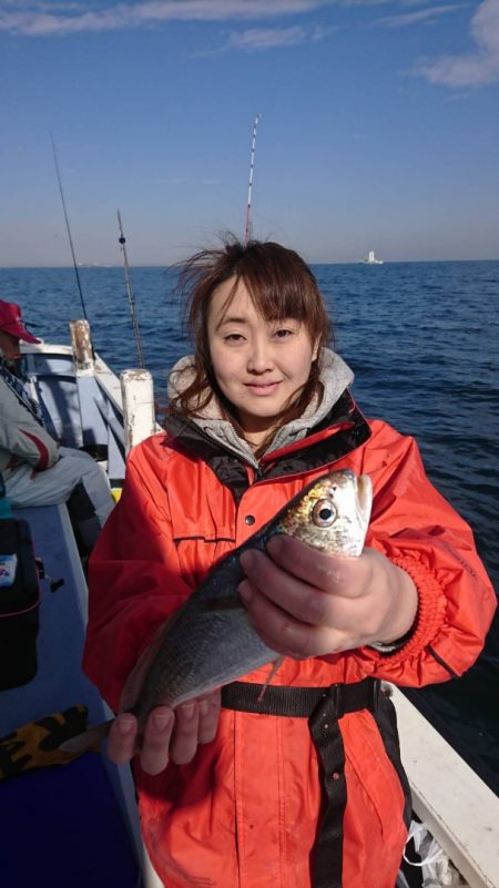 金沢八景鴨下丸 釣果