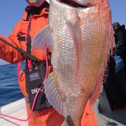 だて丸 釣果