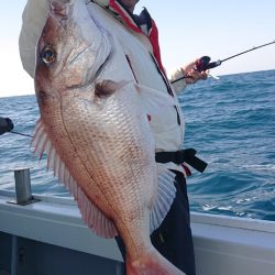 だて丸 釣果