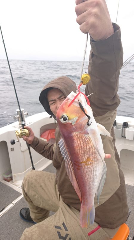 ARCADIAⅡ (アルカディアⅡ) 釣果