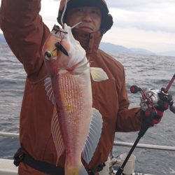 ARCADIAⅡ (アルカディアⅡ) 釣果