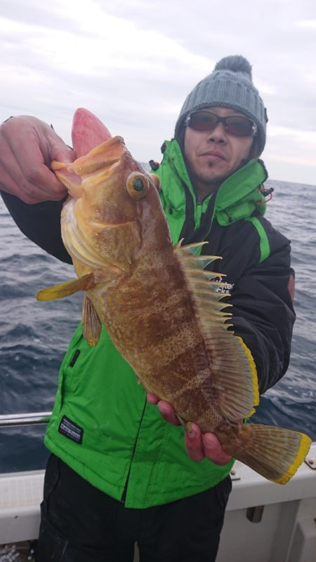 ARCADIAⅡ (アルカディアⅡ) 釣果