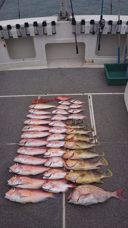 ARCADIAⅡ (アルカディアⅡ) 釣果