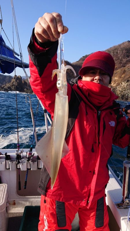 ARCADIAⅡ (アルカディアⅡ) 釣果