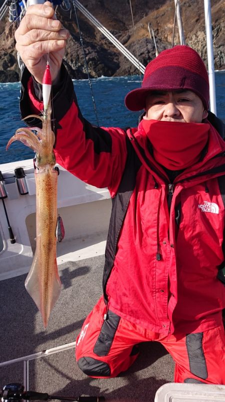 ARCADIAⅡ (アルカディアⅡ) 釣果