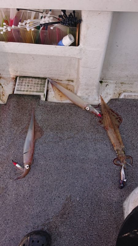 ARCADIAⅡ (アルカディアⅡ) 釣果