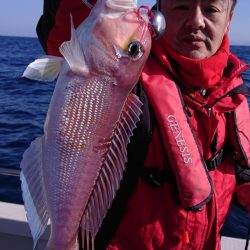 ARCADIAⅡ (アルカディアⅡ) 釣果