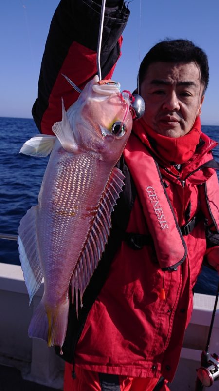 ARCADIAⅡ (アルカディアⅡ) 釣果