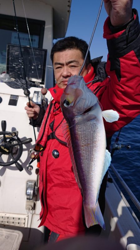 ARCADIAⅡ (アルカディアⅡ) 釣果