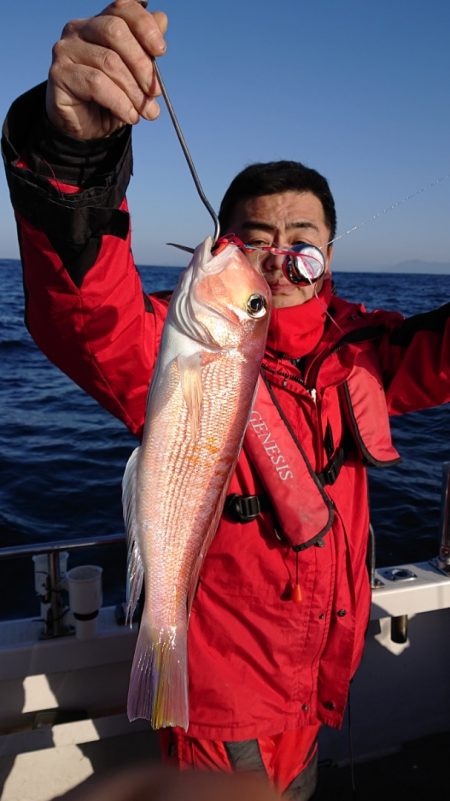 ARCADIAⅡ (アルカディアⅡ) 釣果