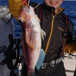 ARCADIAⅡ (アルカディアⅡ) 釣果