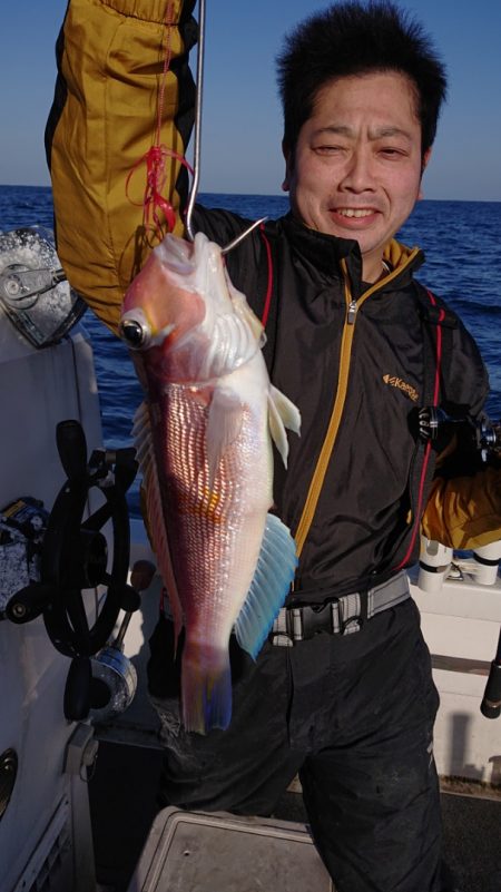 ARCADIAⅡ (アルカディアⅡ) 釣果