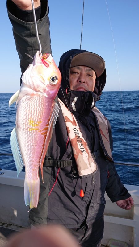 ARCADIAⅡ (アルカディアⅡ) 釣果