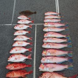 ARCADIAⅡ (アルカディアⅡ) 釣果