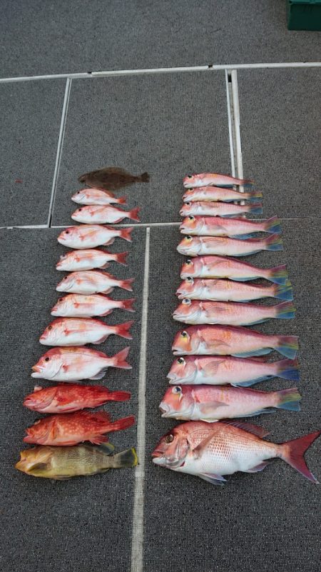 ARCADIAⅡ （アルカディアⅡ） 釣果…