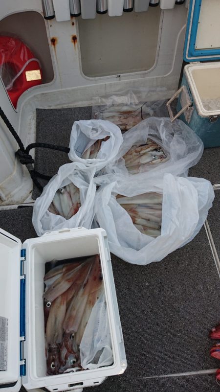 ARCADIAⅡ (アルカディアⅡ) 釣果