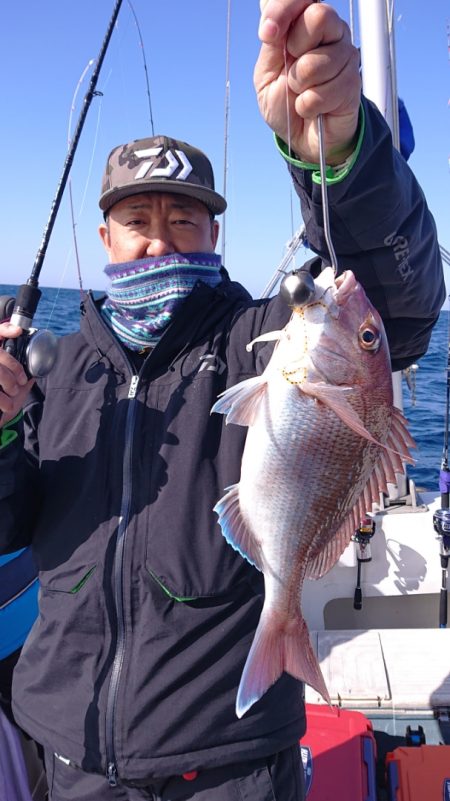 ARCADIAⅡ (アルカディアⅡ) 釣果