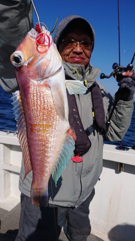 ARCADIAⅡ (アルカディアⅡ) 釣果