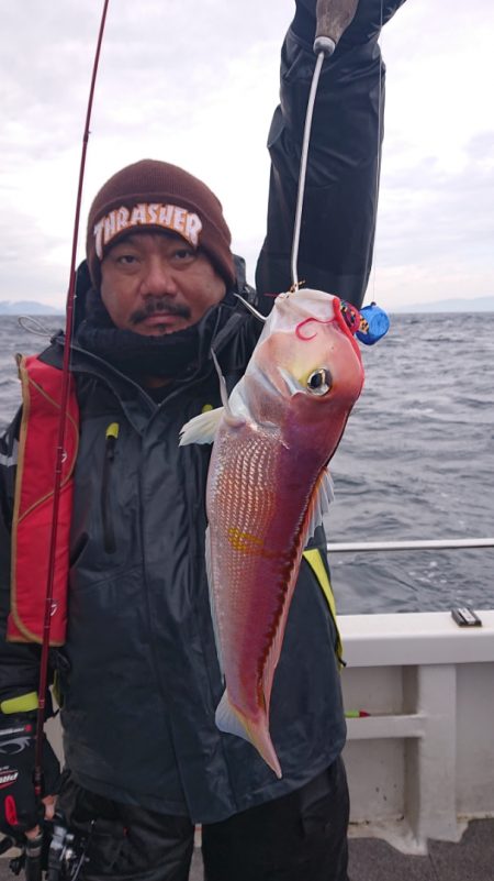 ARCADIAⅡ (アルカディアⅡ) 釣果