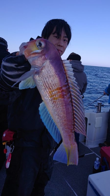 ARCADIAⅡ (アルカディアⅡ) 釣果