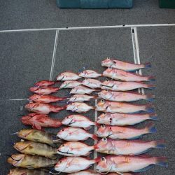 ARCADIAⅡ (アルカディアⅡ) 釣果