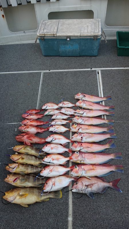 ARCADIAⅡ （アルカディアⅡ） 釣果…