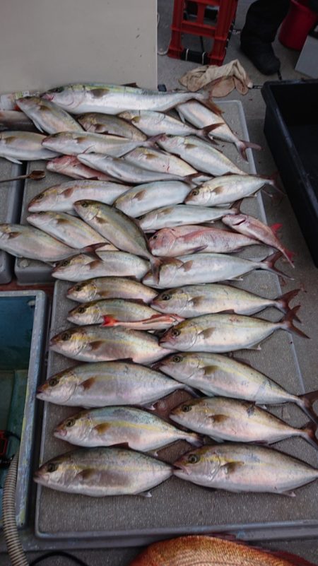 海皇丸 釣果