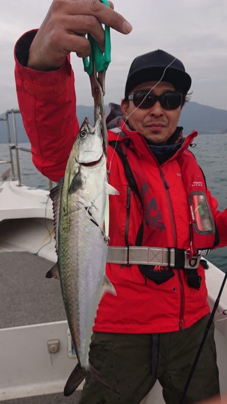 ARCADIAⅡ (アルカディアⅡ) 釣果