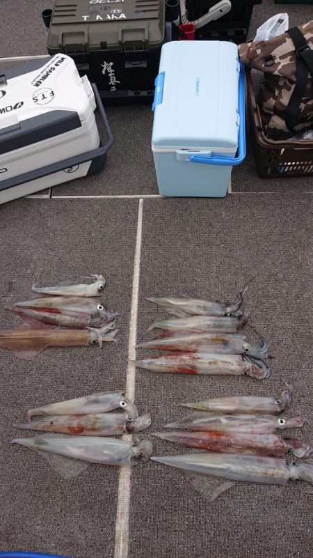 ARCADIAⅡ (アルカディアⅡ) 釣果