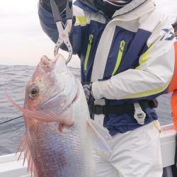 だて丸 釣果