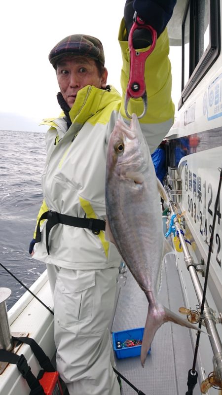 だて丸 釣果