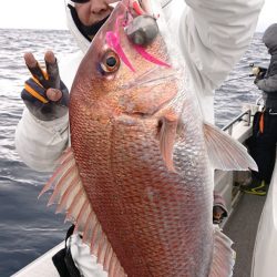 ARCADIAⅡ (アルカディアⅡ) 釣果