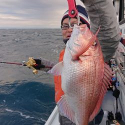 だて丸 釣果