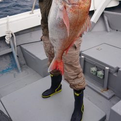 だて丸 釣果