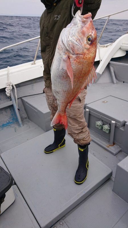 だて丸 釣果