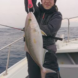 だて丸 釣果
