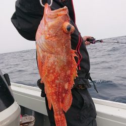 だて丸 釣果