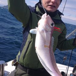 ARCADIAⅡ （アルカディアⅡ） 釣果