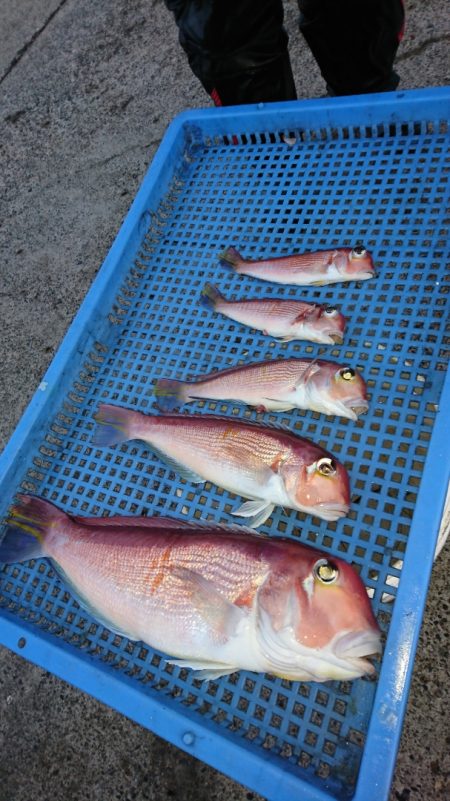 第三共栄丸 釣果