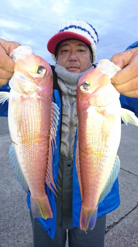 第三共栄丸 釣果