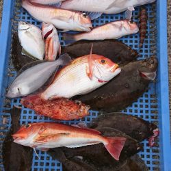 第三共栄丸 釣果