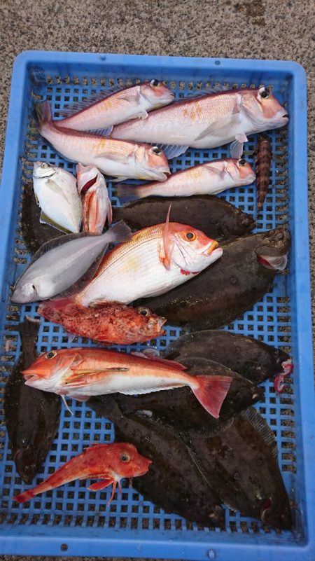 第三共栄丸 釣果