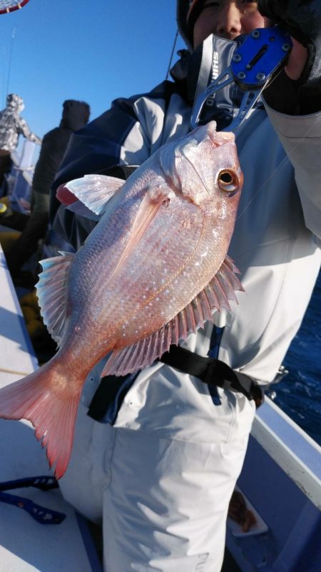 新幸丸 釣果