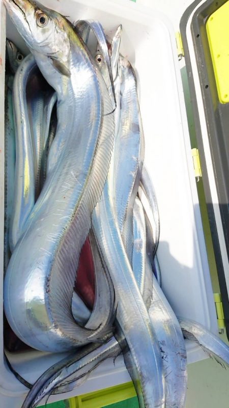 金沢八景鴨下丸 釣果