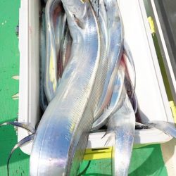 金沢八景鴨下丸 釣果