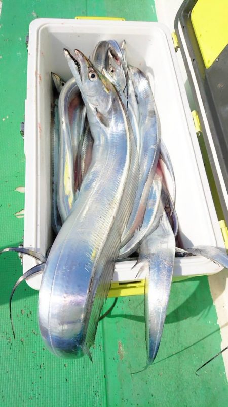 金沢八景鴨下丸 釣果