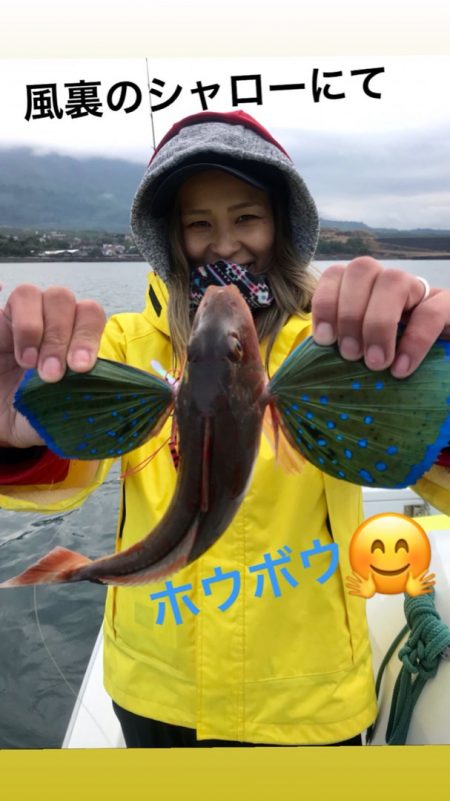龍神丸（鹿児島） 釣果