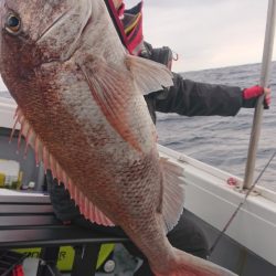だて丸 釣果